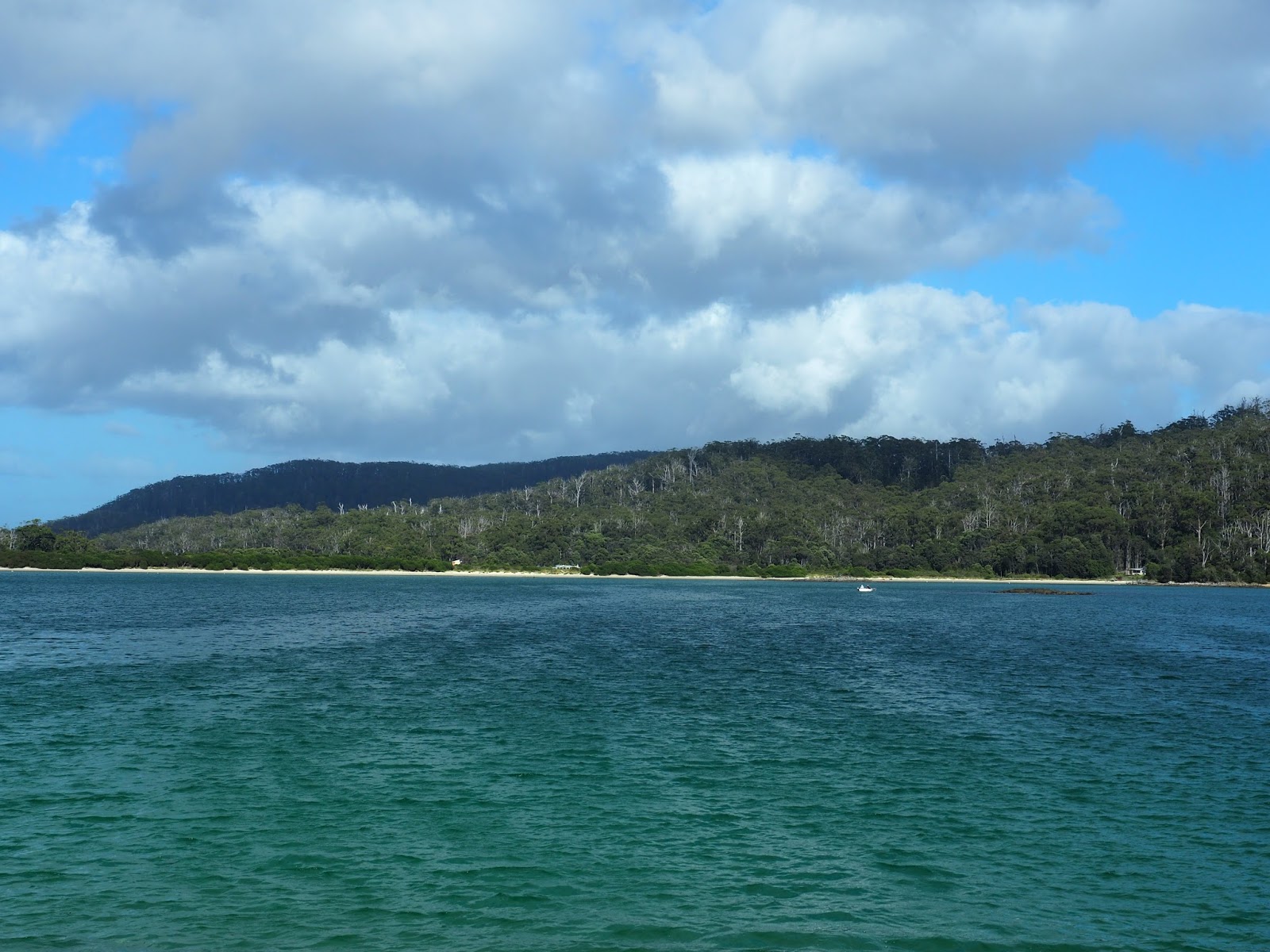 Pancake Bay Hiking South East Tasmania