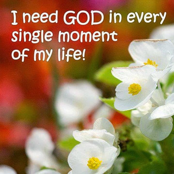 My Image 12