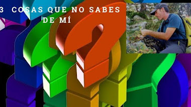 53 cosas que no sabes de mí