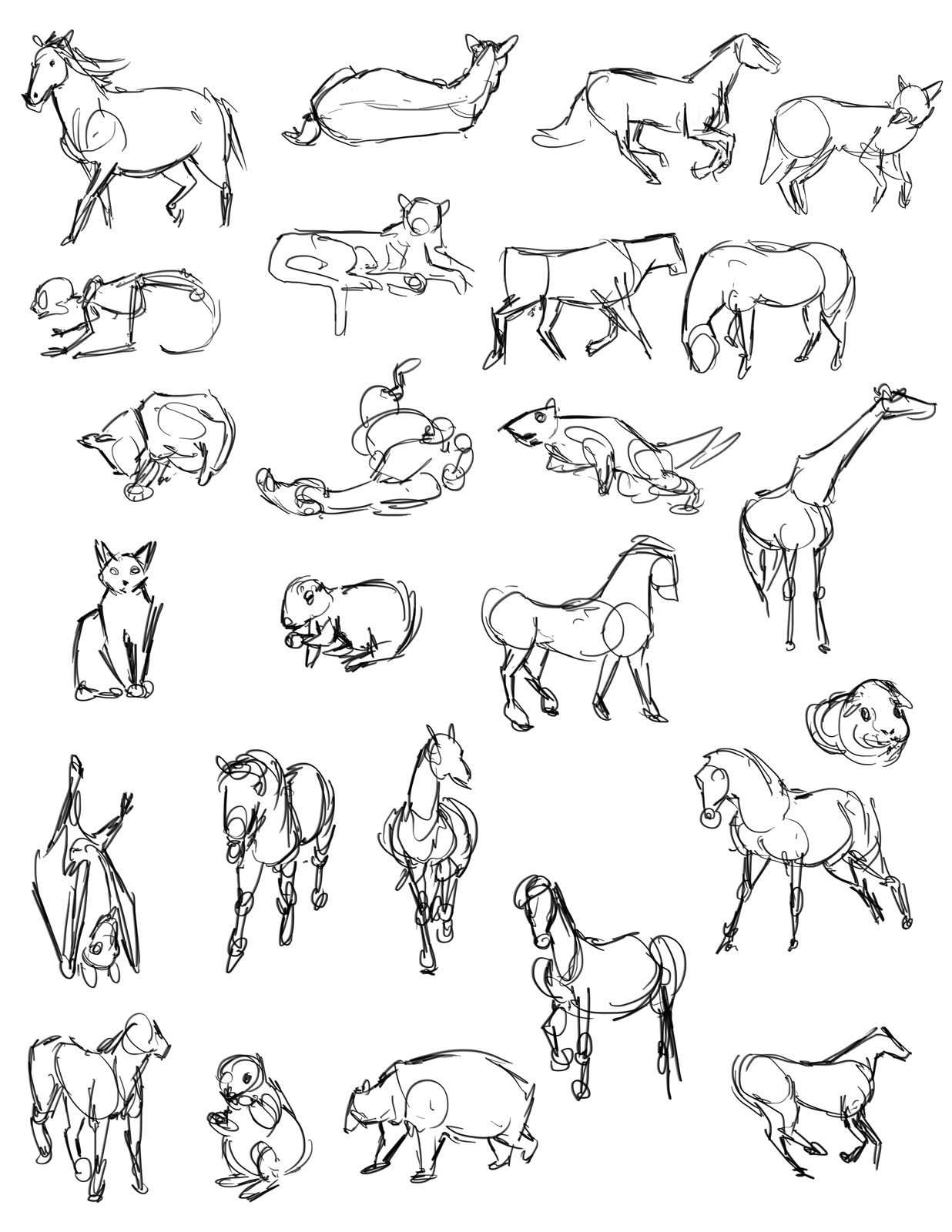 casey hunt: Gesture Drawing Tool | Animals!