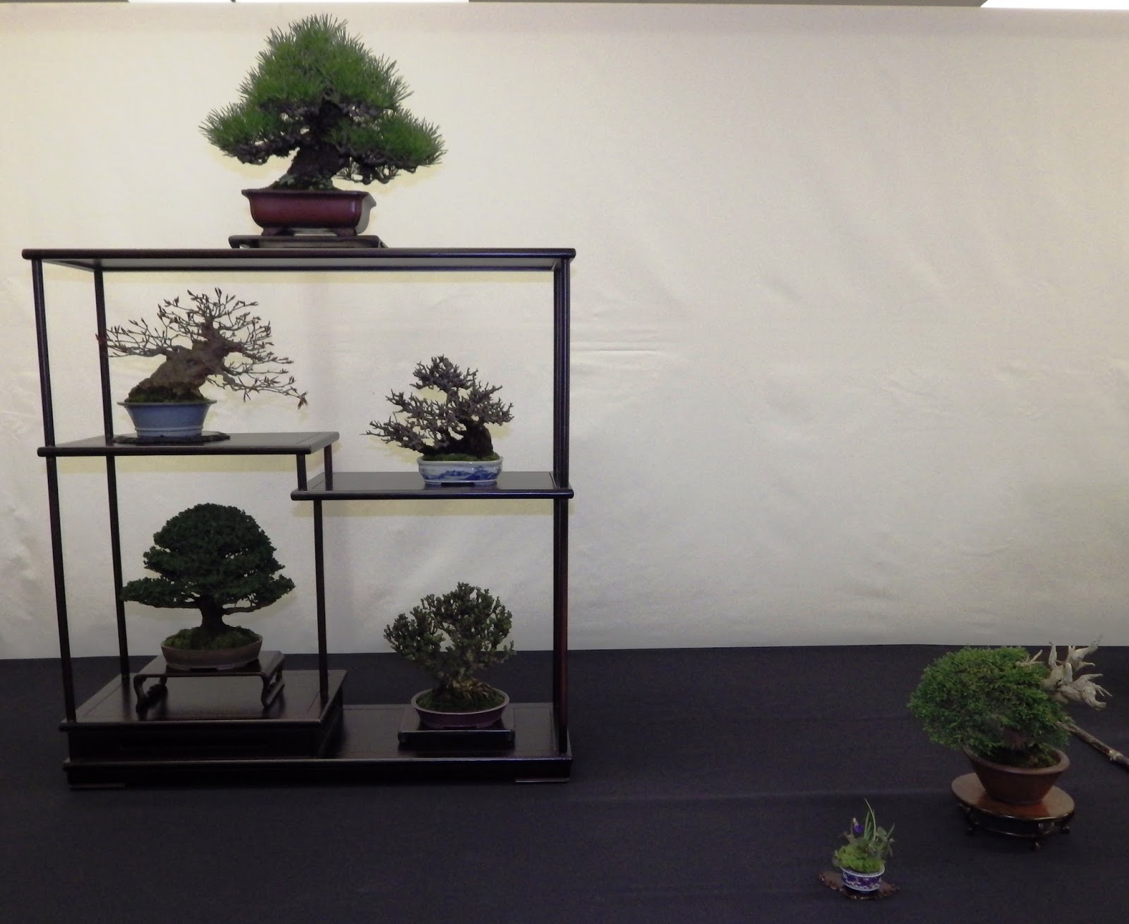 Bespoke Bonsai Stands