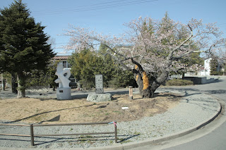 富岡町　桜まつり　危険困難区域