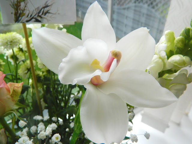 A photo of an orchid, amongst a bouquet from Prestige Flowers