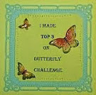 TOP 3 @ BUTTERFLY CHALLENGE.