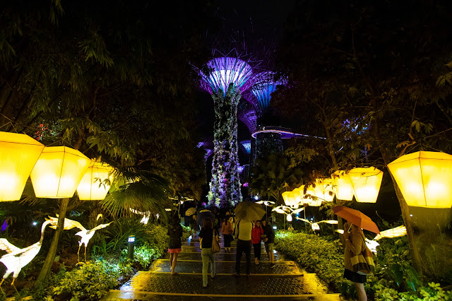 Supertree Grove-Gardens by the bay- Spettacolo di luci e suoni-Singapore