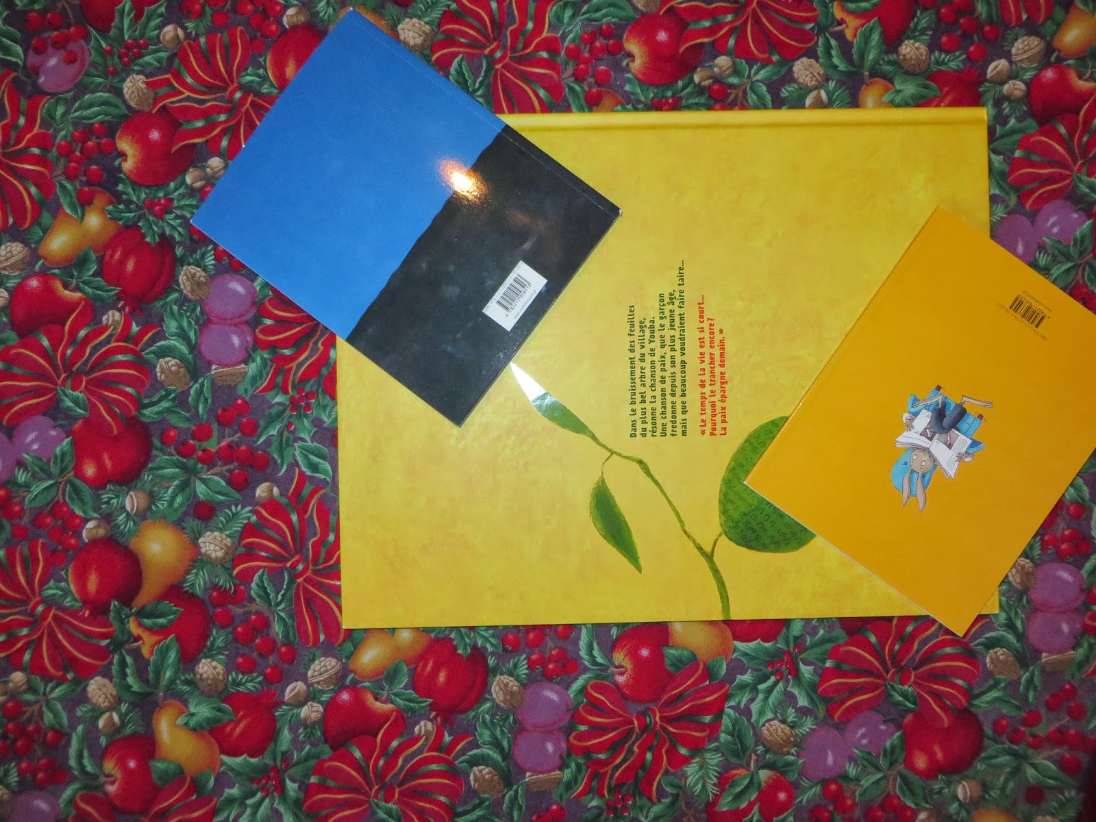 La classe de Marie B: Des cadeaux pour la classe!