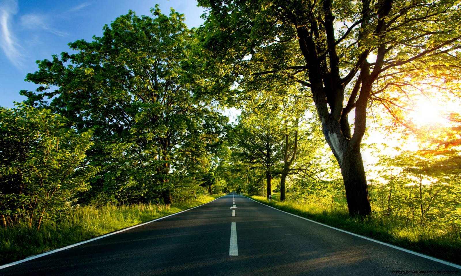 Beautiful Spring Road 1920X1080