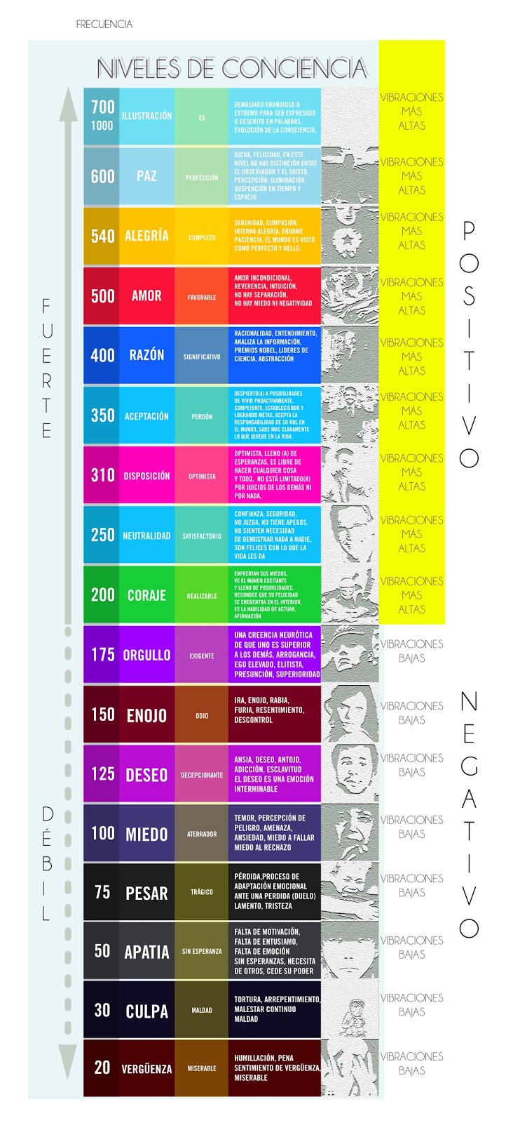 EL VÓRTICE - Niveles de vibración. | Life Hacks