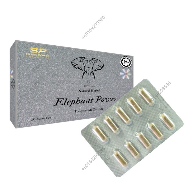 Male Enhancement Station Elephant Power Herbal Tongkat Ali Capsule