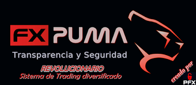 puma trading