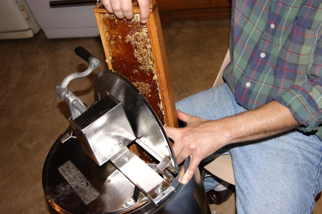 Placing a Frame in Extractor to Spin Out Honey Image