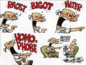 Image result for bigot