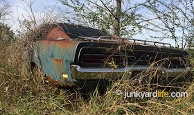 B5 Blue Charger with a luggage rack is complete but rusting among hundreds of cars in the backwoods of Mississippi.