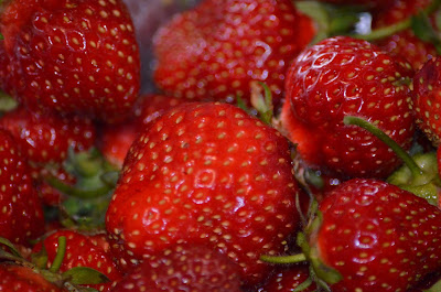 Sweet Strawberries Photo by Trisha FIeld