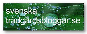 Svenske haveblogs