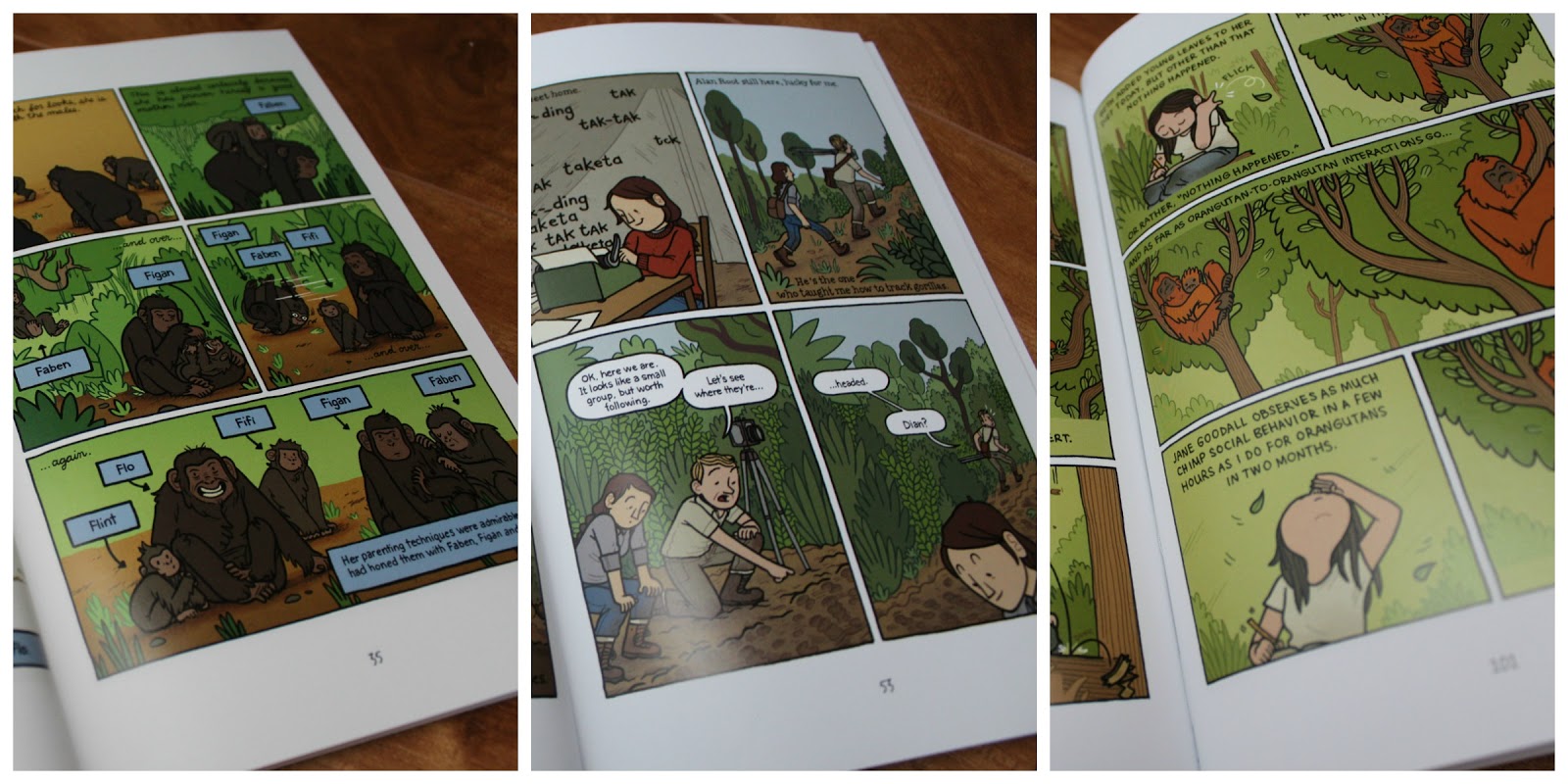 dian fossey jane goodall birute galdikas dian fossey jane goodall birute galdikas