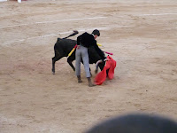 Todos a los Toros: El toreo en estado puro