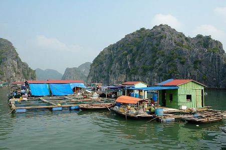 Desa terapung Cua Van