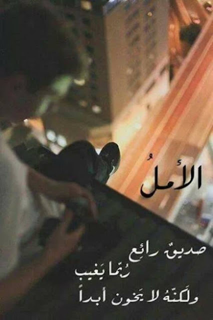 حكم وامثال بالصور روعة