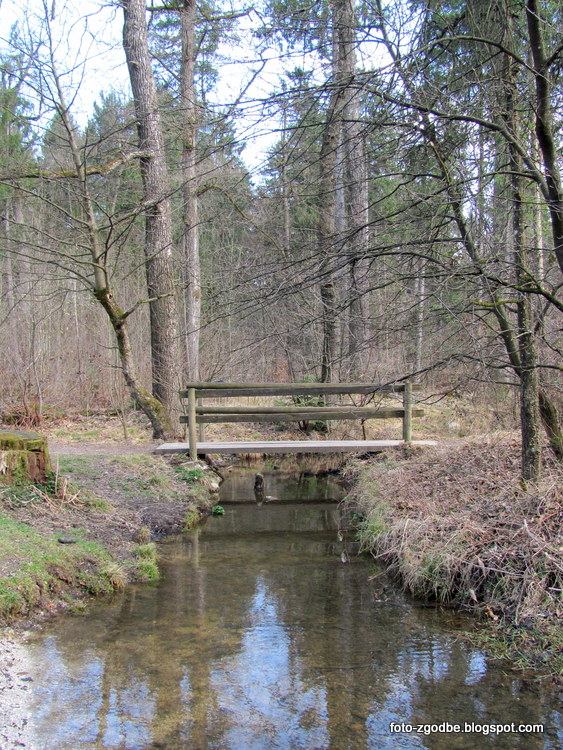 Šišenski hrib, Mostec, Rožnik, Ljubljana