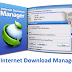 Internet Download Manager v6.18 Build Final completo