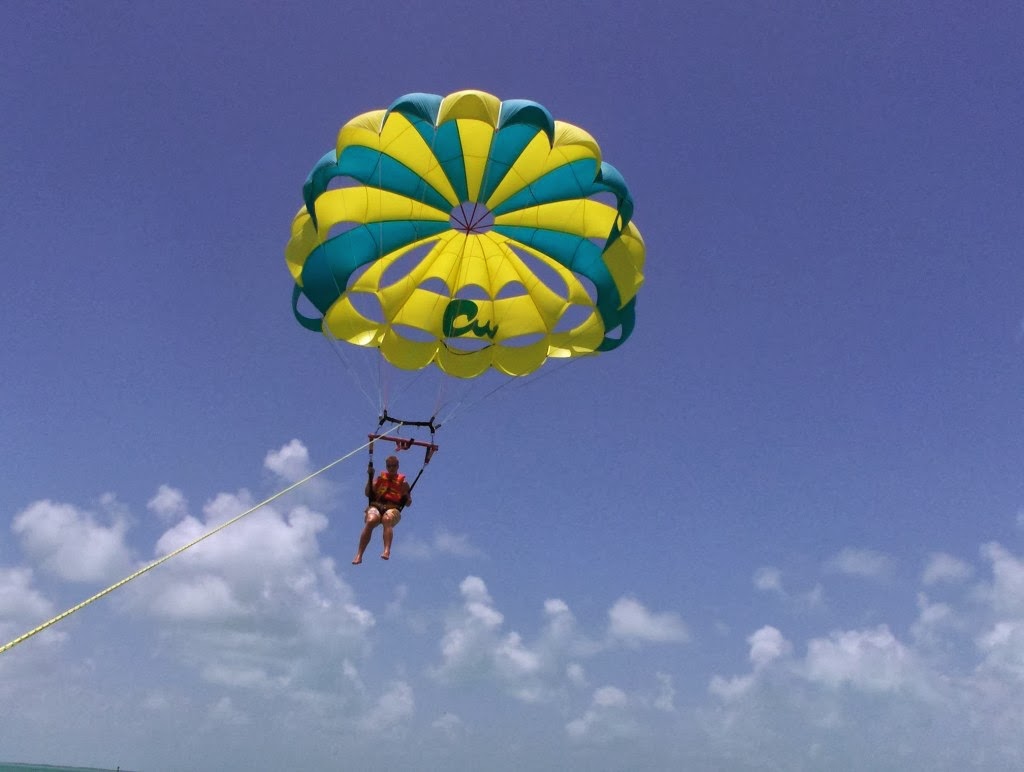Dolphin tours fort myers Jet ski rental fort myers Fort myers