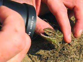 اوضاع غريبة للمصورين خلال التقاط الصور!