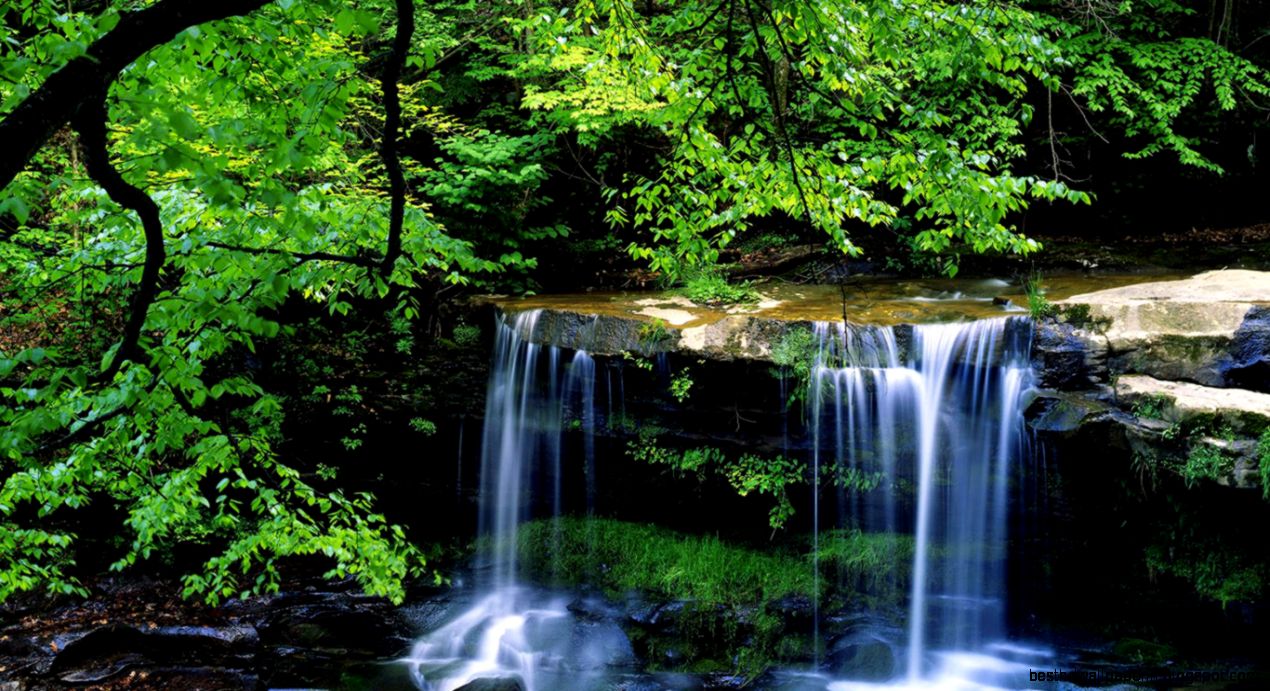 3d Wallpapers Widescreen Nature Wallpapers High Resolution
