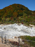Hill at Osorezan near geothermal activiy. Autumn colours starting to appear