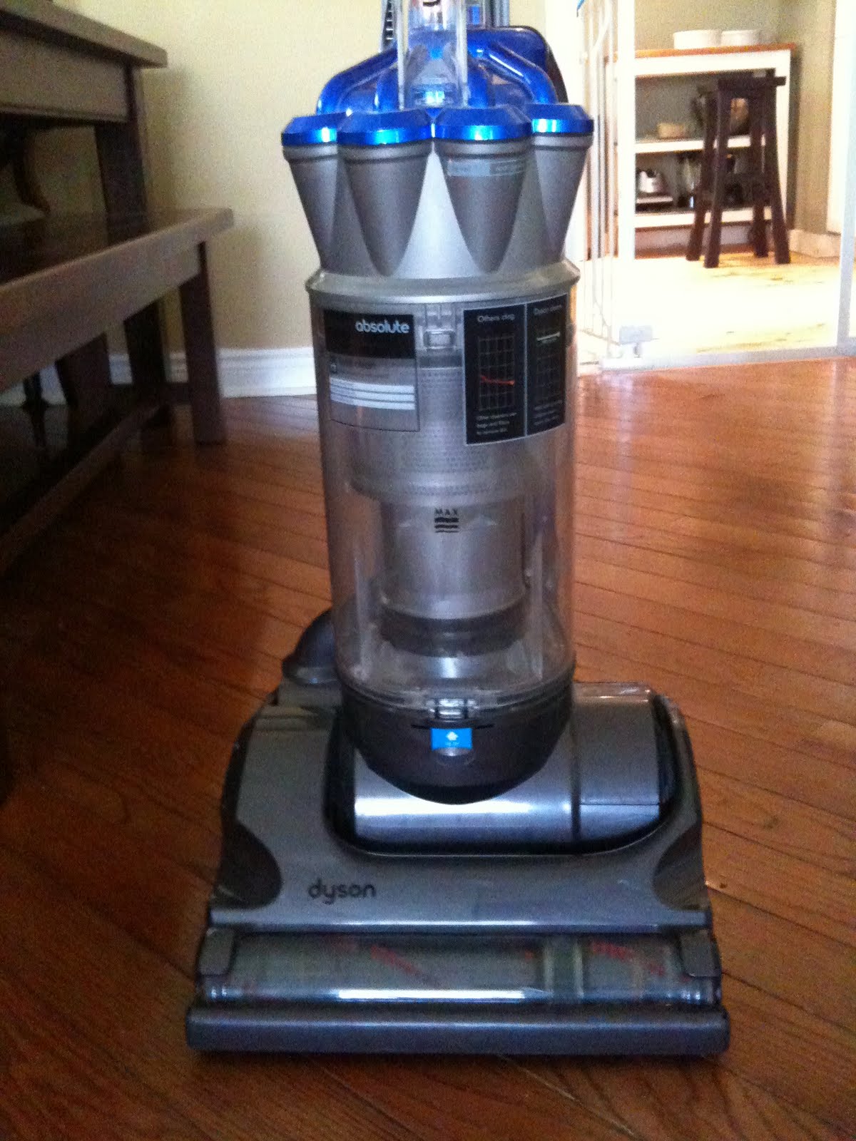 Cat's Cats Vacuum Woes