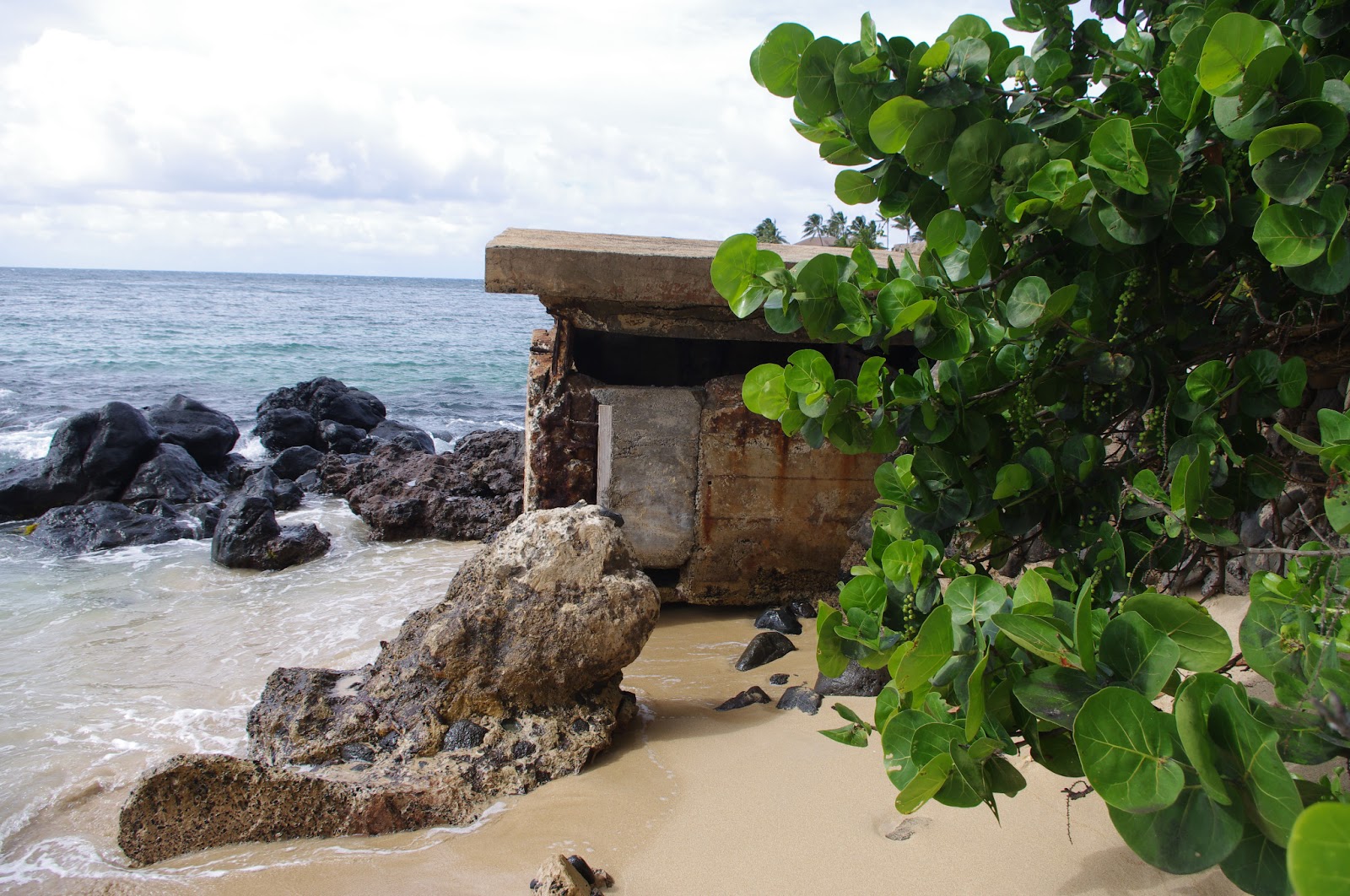 Lex World War Two Pillbox, Baldwin Beach, Maui Hawaii