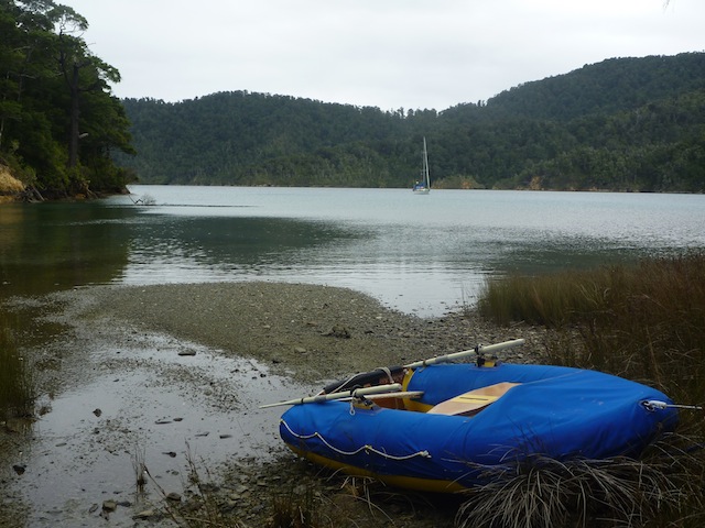 Dingo's log: Resolution Bay, Queen Charlotte Sound, 17th February 2012
