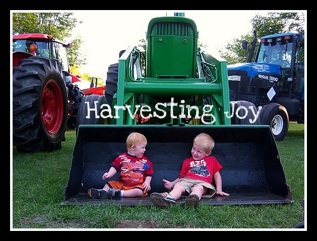 Harvesting Joy