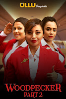 (18+) Woodpecker Season 2 Complete Hindi 720p HDRip ESubs Download