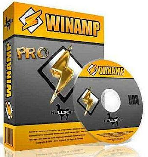  Winamp Pro v5.6.6.3516 Repack Portable  3