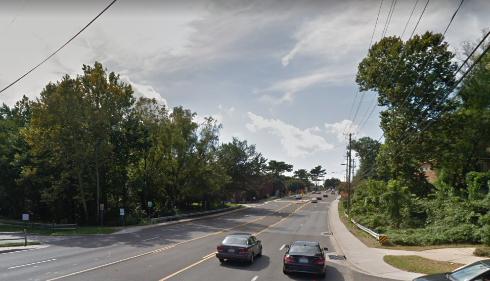 East MoCo Hug a tree on Piney Branch Road as Purple Line tree removal