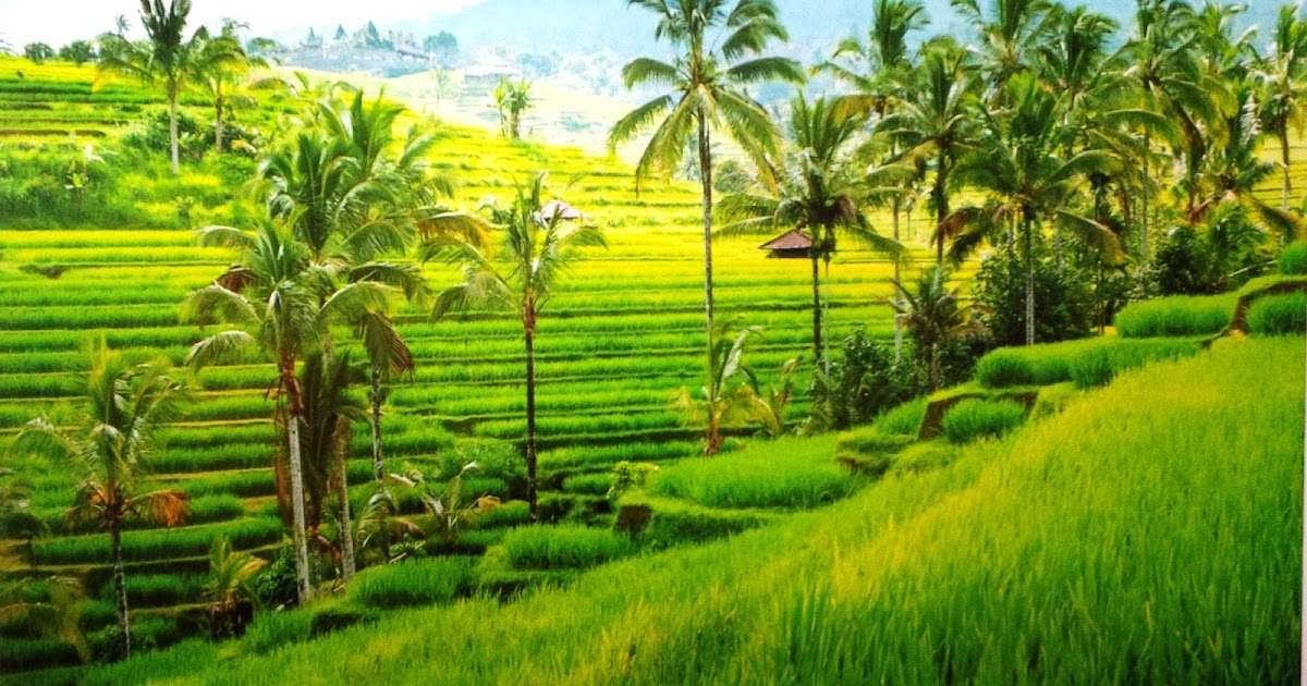 40+ Gambar Pemandangan Kampung Halaman