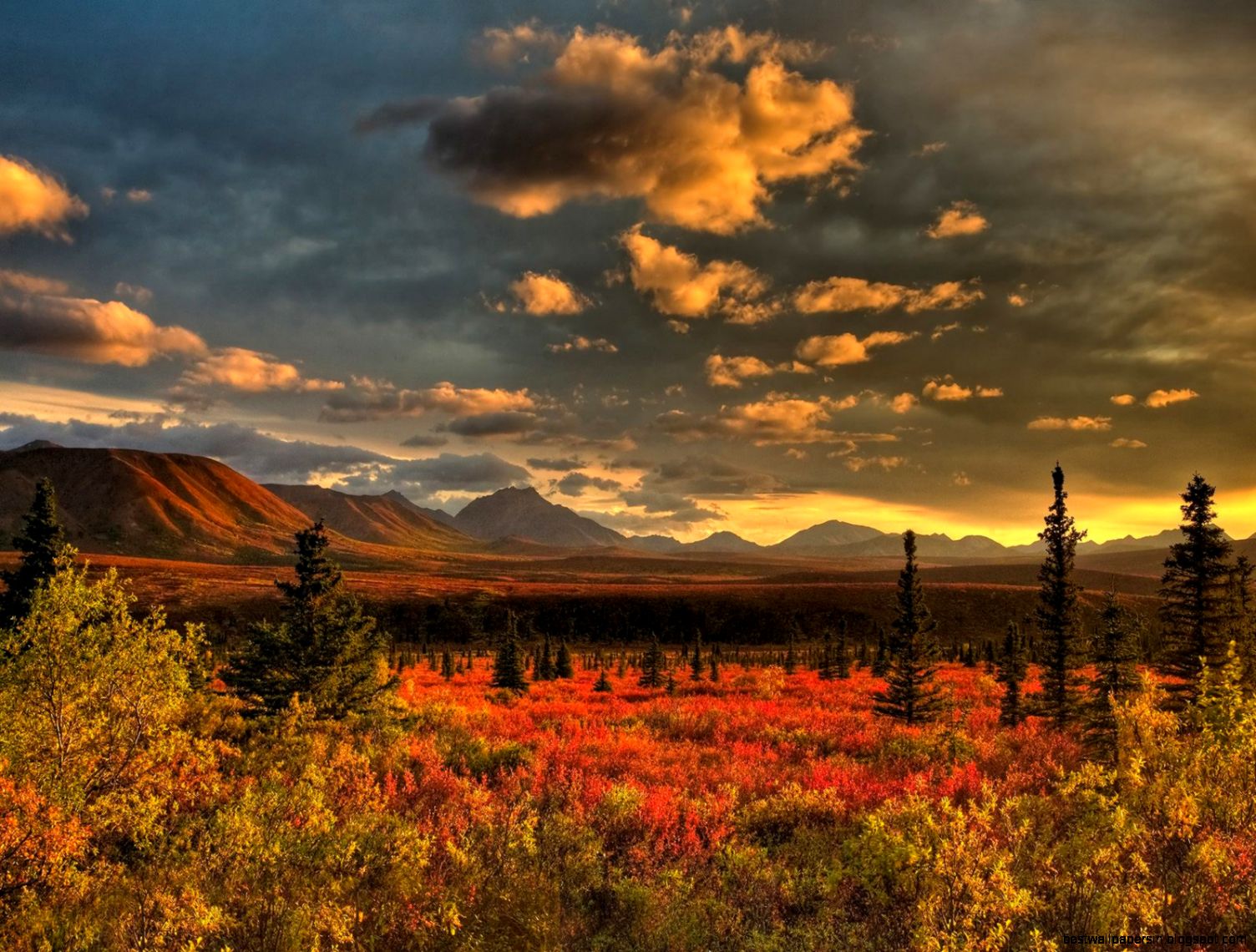 Free Nature Desktop Wallpaper