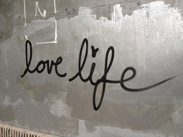 download real life love download real life love