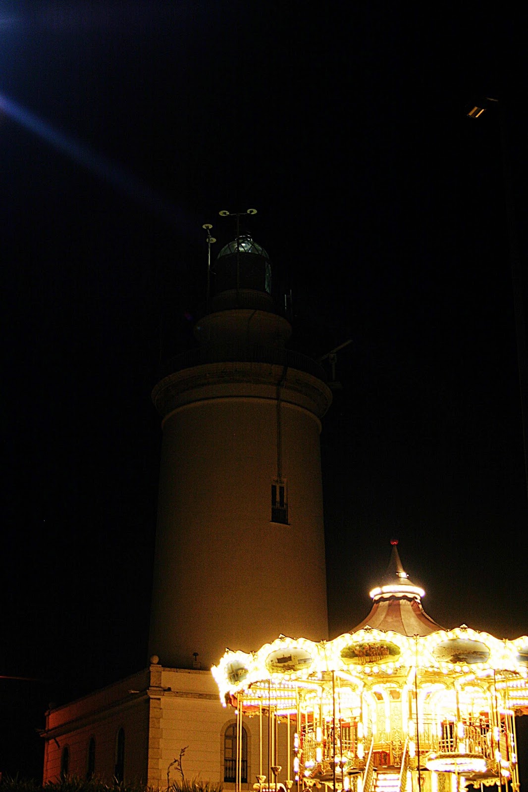 Flowers in my hair & demons in my head