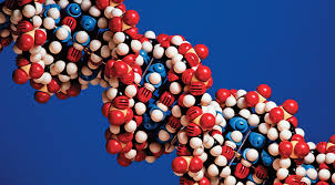 Moléculas - Microorganismos