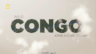 الوثائقي الرائع الحياة البرية في الكونغو: الكينغ كونغ كاذب مدبلج Ea9b5d87cdf0.978x550