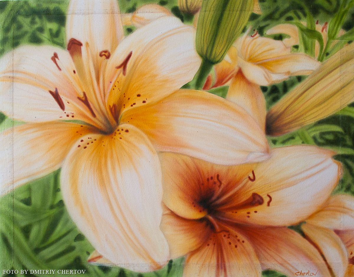 Авторский Блог Дмитрия Воробьева: Моя аэрография