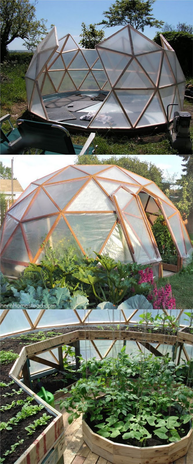 Geodome Greenhouse garden favorite