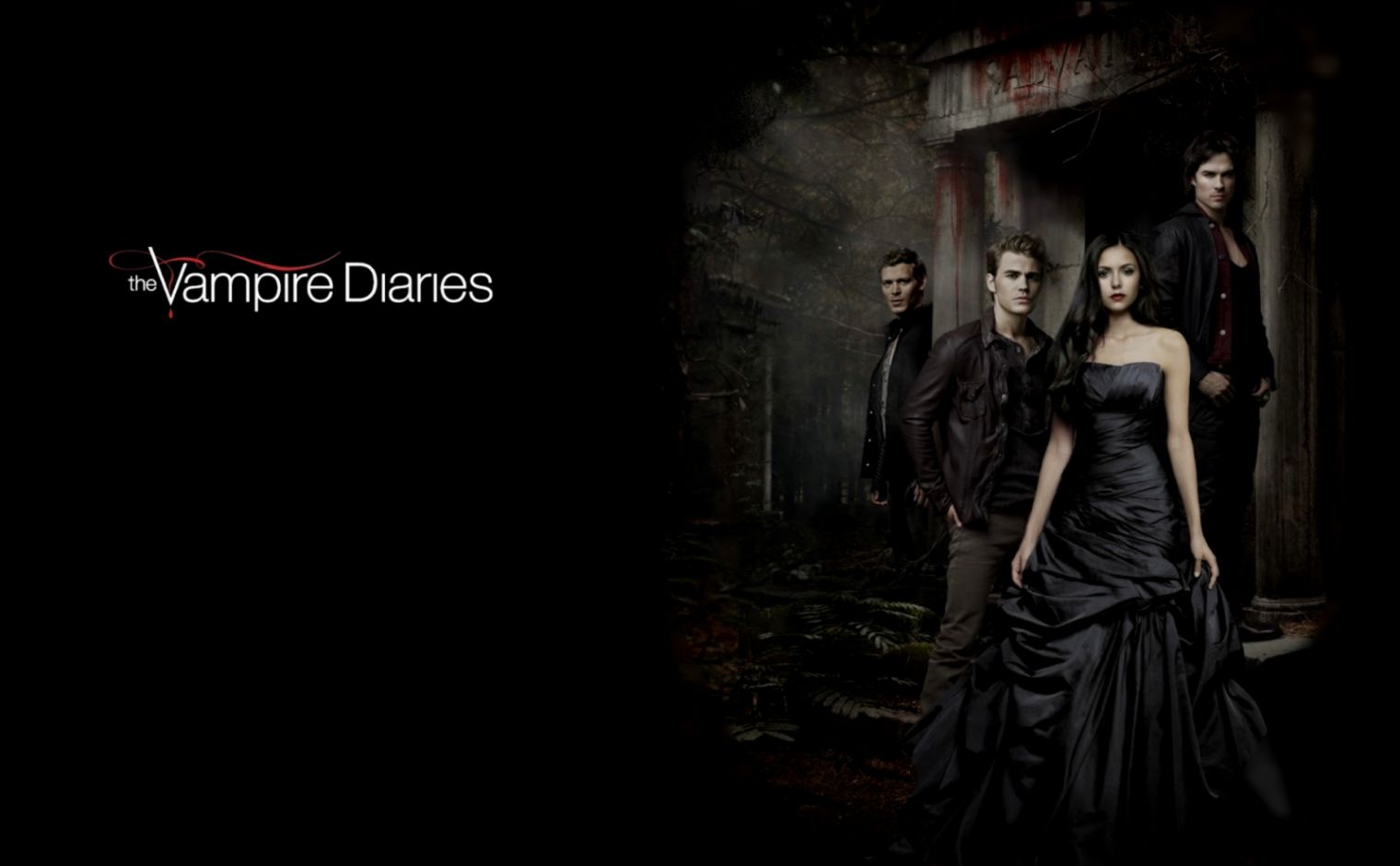 Vampire Diaries Wallpaper 6833866