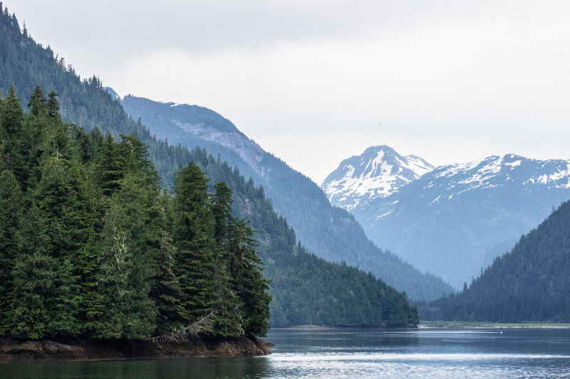 Maple Syrup Lactose Intolerance