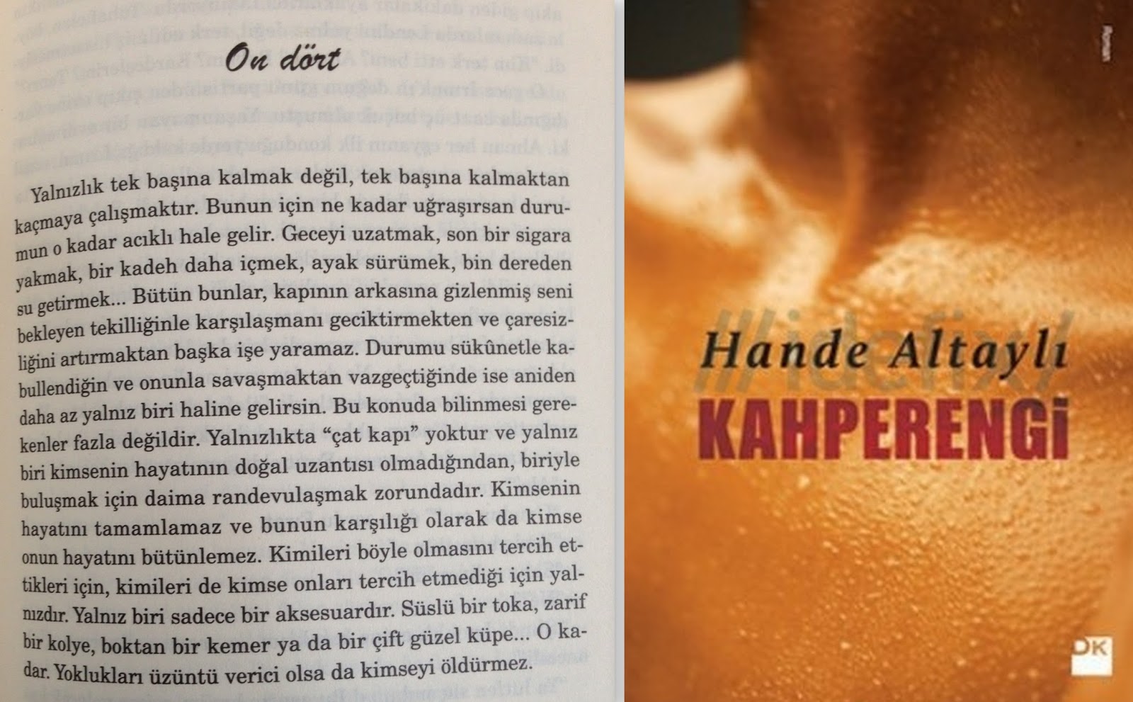 hande altayli kahperengi