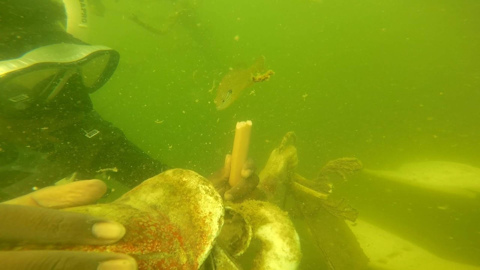 Ozark's Dive Log Unbelievable Diving on Table Rock Lake