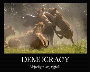 http://3.bp.blogspot.com/-BtWy2SOLo5o/T3zBsERE1dI/AAAAAAAAB-4/zWOlzfFWTqA/s1600/Democracy.jpg