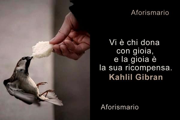 Aforismi, frasi e proverbi sul Dono e sul Donare | Aforismario